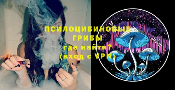 кристаллы Инта