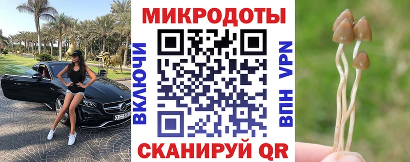 Галлюциногенные грибы GOLDEN TEACHER  Купить закладки  Оха 