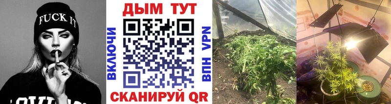 Каннабис Amnesia Оха